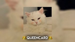 ?❄️Плейлист Speed Up песен❄️?