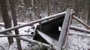 Насторожка капканов на путике, с охотой. Особенности установки капканов.