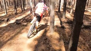 Кросс-кантри гонка. У меня был какой то план...