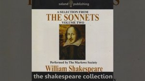 Sonnet 80