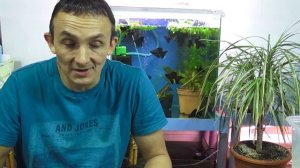 ТРИ капли МОЛОКА и ИНФУЗОРИИ ТЬМА