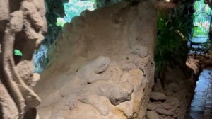 Tjampuhan Spa Hotel 4* Ubud обзор отеля в Убуде