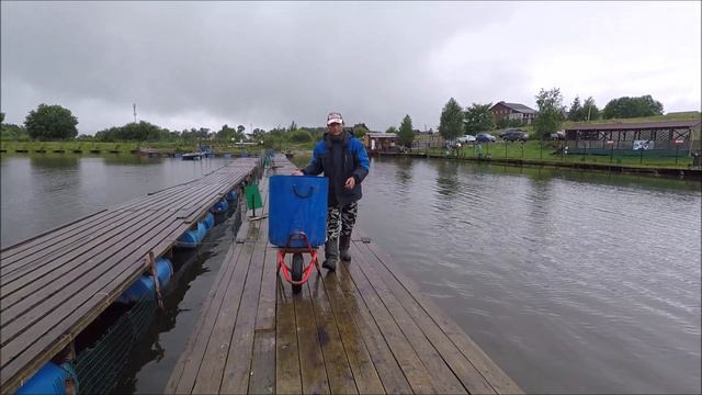 Осетр в первый сектор!!!Клевое Место д.Савельево. смотреть онлайн