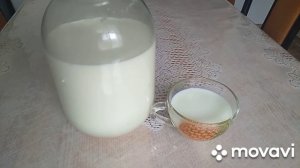 ЛЕЧЕНИЕ ЖЕЛУДКА КОЗЬИМ МОЛОКОМ И ТРАВАМИ.