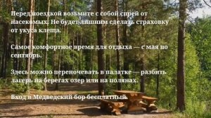 Медведский бор в Кировской области. Маршруты России. самиедем.рус