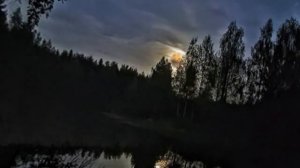 Шепот, робкое дыханье