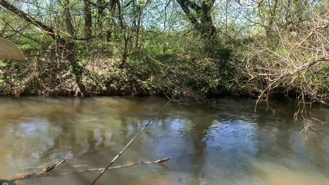 Ловля голавля на майского жука! смотреть онлайн