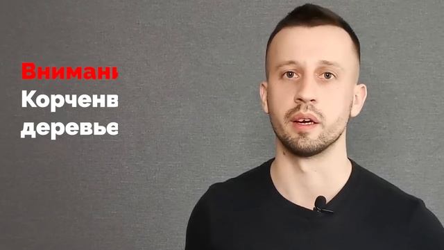 Расчистка участка под строительство. Подготовка к работе по благоустройству и выравниванию участка