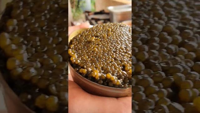 ЧЕРНАЯ ИКРА #black #caviar #russian #russia #blackcaviar