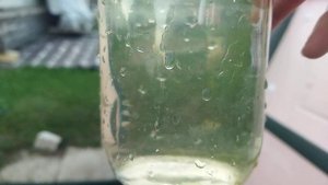 вот такая, как минимум должна быть аэрация в топасе , и вода на выходе,