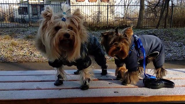 Ой мороз, мороз. Не морозь ты нас. смотреть онлайн