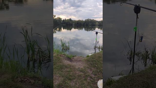 Шебдасское море....на старте ночная рыбалка на карпа!!!! Такого ещё не было.