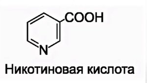 Пажитник польза и вред