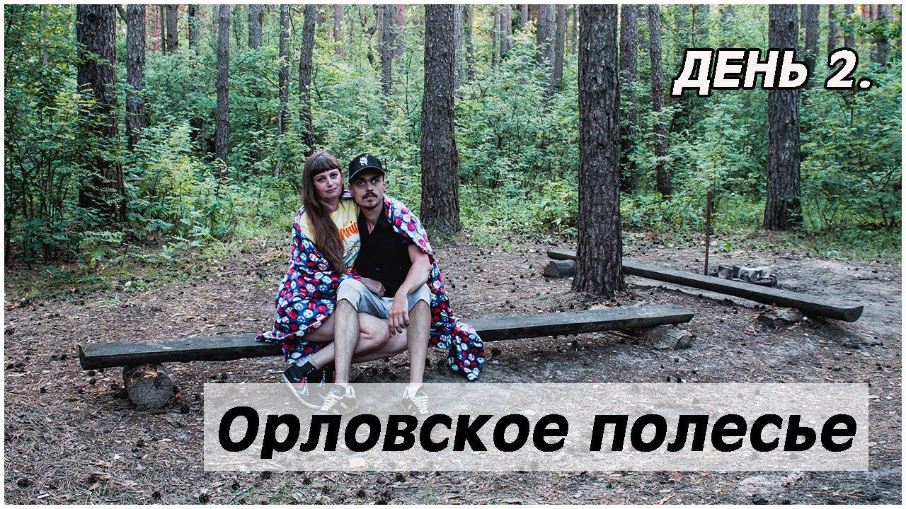 Поездка за черникой. День 2. Орловское полесье. Ужин на природе.