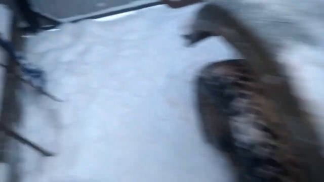 Вкатил мост, замена стартера, поиск контакта. Первые метры после ремонта. ГАЗ 69 2.0 смотреть онлайн