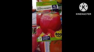 Сибирь, И опять я в магазине семян!