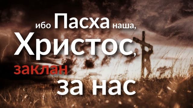 idolllll смотреть онлайн