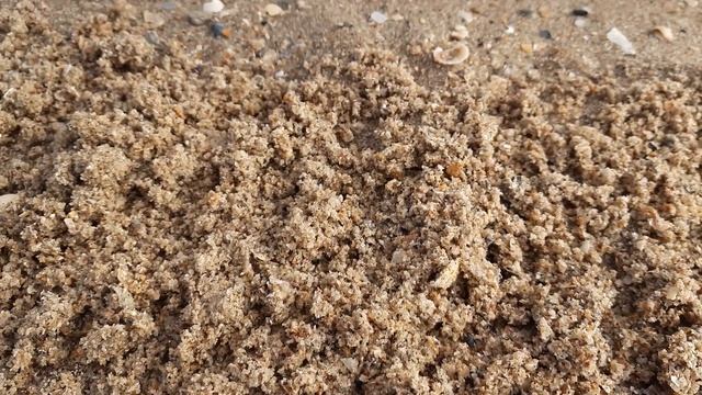 Garrett Apex vs Minelab CTX 30 30