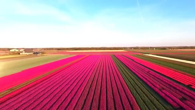 Виртуальная экскурсия: Самые красивые и удивительные места в мире