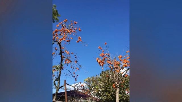 идём в поход :) смотреть онлайн