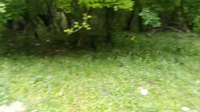 ОТДЫХ В ГОРАХ/КАРАЧАЕВО- ЧЕРКЕССИЯ