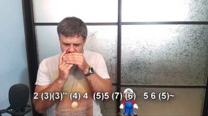 Как упоительны в России вечера на губной гармошке