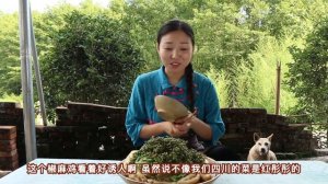 小雨整點青花椒做“椒麻雞”，天熱沒胃口，簡單一拌，啃的好爽！ 【市民朱小雨】