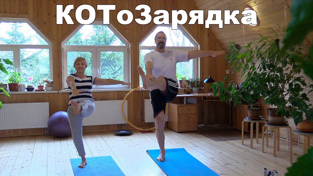 Будни самОизоляции:  КОТоЗарядка