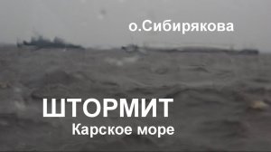 Карское море. После шторма у о.Сибирякова