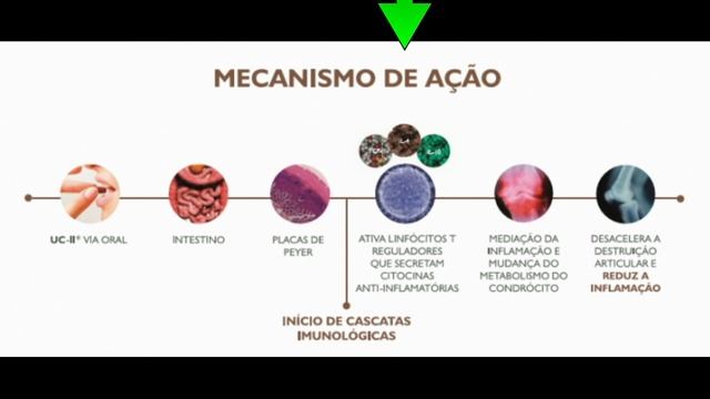 COLÁGENO TIPO II para ARTROSE DE JOELHO. Será que funciona?