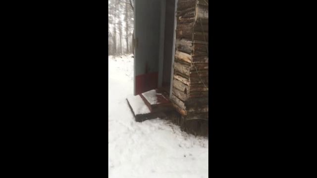 В  гости к Снегурочке. Резиденция Снегурочки