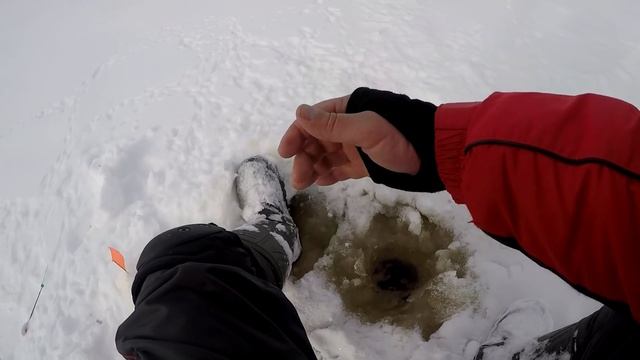 Чигиринское водохранилище Лещ на 2060 смотреть онлайн