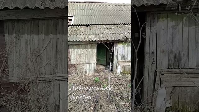 Заброшенная деревня
