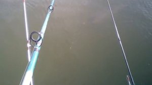 Рыбалка на Беловском море