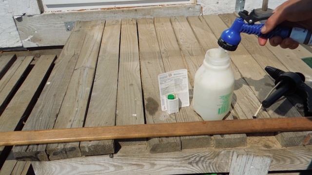 ГАЛЛОВАЯ ТЛЯ на СМОРОДИНЕ УЙДЕТ НАВСЕГДА! #смородина #тля #галловая_тля смотреть онлайн