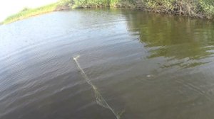 Рыбалка в Казахстане 18.07.2020.Поселок Родина река Ишим.Щука,Линь,Чебак,Окунь.