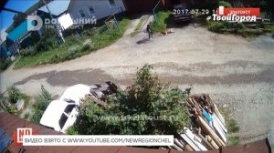 Загрыз  насмерть.