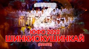 Киокусинкай.ЮФО-2022 по Шинкиокушинкай(Анапа)