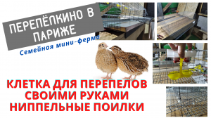КЛЕТКА ДЛЯ ПЕРЕПЕЛОВ СВОИМИ РУКАМИ. НИППЕЛЬНЫЕ ПОИЛКИ