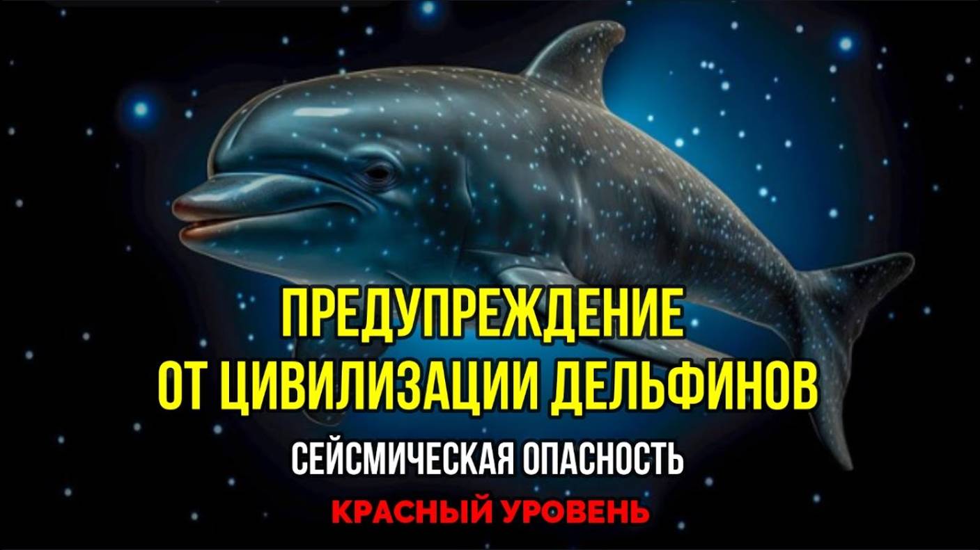 ПРЕДУПРЕЖДЕНИЕ ОТ ЦИВИЛИЗАЦИИ ДЕЛЬФИНОВ: СЕЙСМИЧЕСКАЯ ОПАСНОСТЬ, КРАСНЫЙ УРОВЕНЬ!