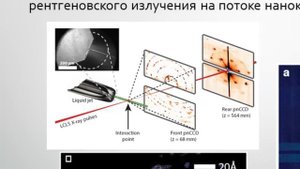 Рентгеновские лазеры на свободных электронах