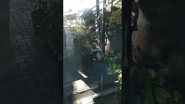 30 октября 2023 г. смотреть онлайн