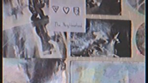 рисуй меня пеплом наброском на камне (cover)