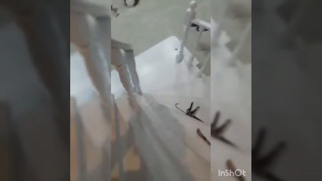 Винтовая бетонная лестница, отделка массив ясеня. смотреть онлайн