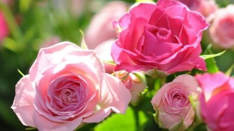 С_ДНЕМ_РОЖДЕНИЯ_МУЗЫКАЛЬНОЕ_ВИДЕО_ПОЗДРАВЛЕНИЕ_ПЕСНЯ.mp4