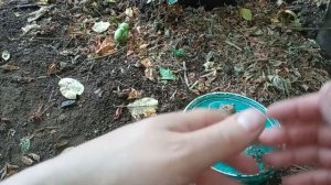КОРМУШКА НА ЛЕЩА, ЗА КОТОРУЮ НЕ ЦЕПЛЯЮТСЯ КРЮЧКИ ? КОРМУШКА-ЯКОРЬ 2 в 1 для ловли с лодки