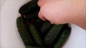 Солёные огурчики-хрустящие, быстрые, вкусные/Как из бочки!/Лучший универсальный рецепт/EinlegeGurke