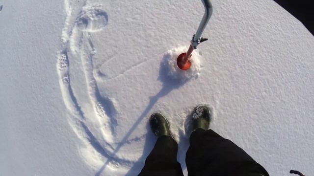 ПЛОТВА и ОКУНЬ на МОРМЫШКУ в ГЛУХОЗИМЬЕ! Зимняя рыбалка 2021. смотреть онлайн
