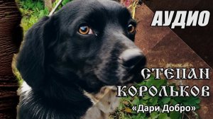 Степан Корольков - Дари Добро (сл. Ольга Васильева)