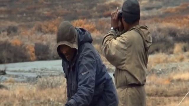 Книга тундры (видео 2) смотреть онлайн